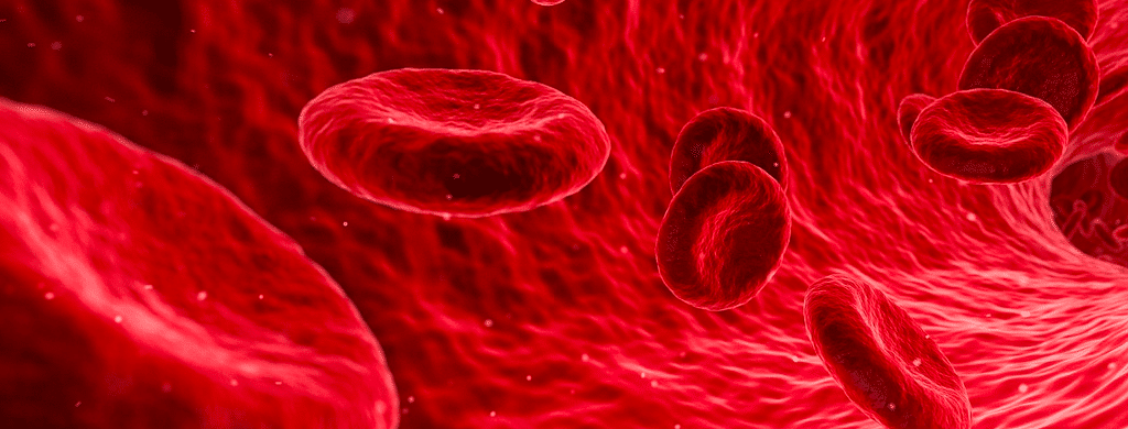 red grapic of bloodborne pathogens